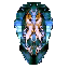 Bronze Shield